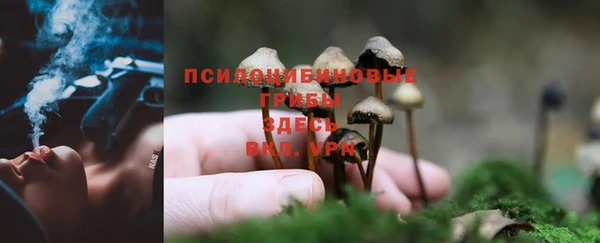 эйфоретик Алзамай