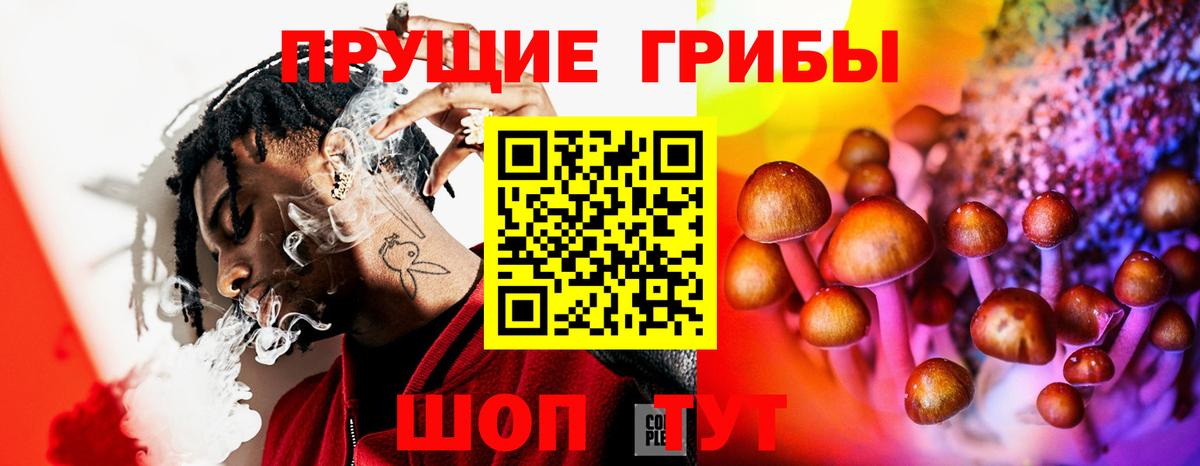 Галлюциногенные грибы Cubensis Грязи