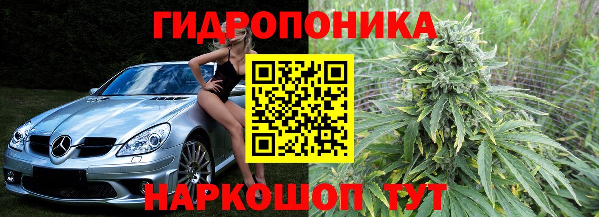 Конопля VHQ  Бошки марихуана Bruce Banner  Вход с VPN  Грязи  Марихуана марихуана 